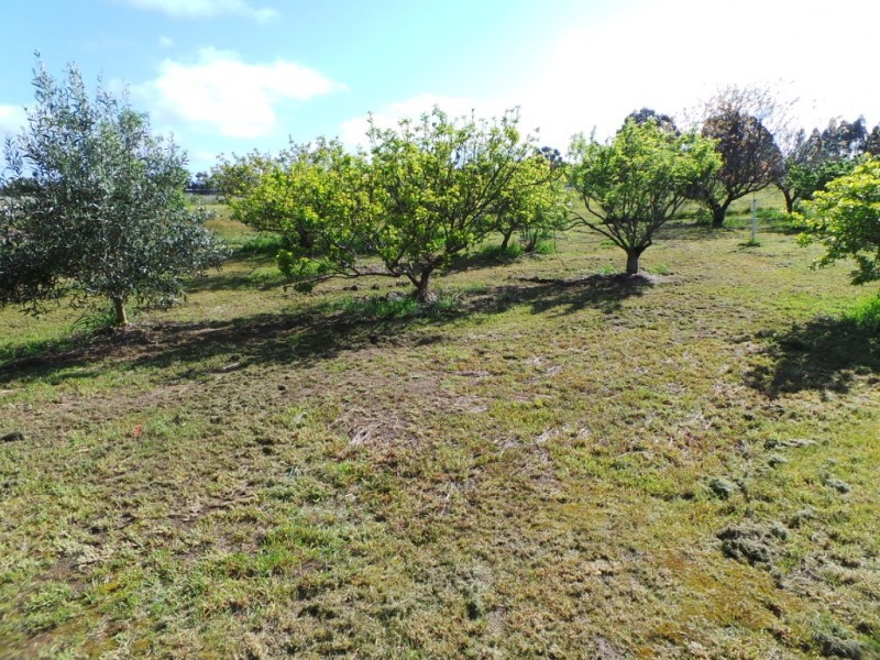 165 Smuts Road, Kendenup WA 6323