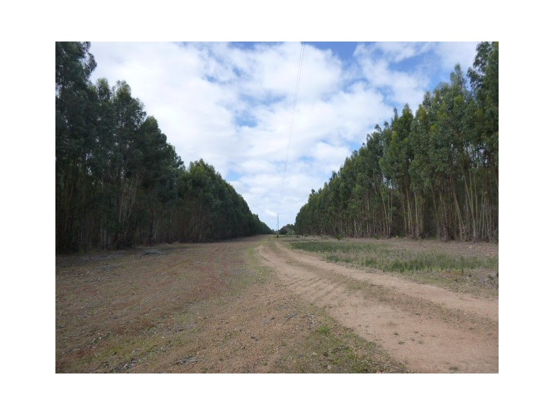 L1849 Kwornicup Road, Mount Barker WA 6324