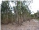 L1849 Kwornicup Road, Mount Barker WA 6324