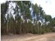 L1849 Kwornicup Road, Mount Barker WA 6324