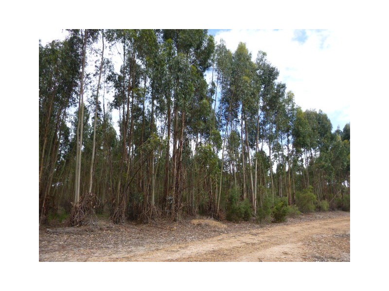 L1849 Kwornicup Road, Mount Barker WA 6324