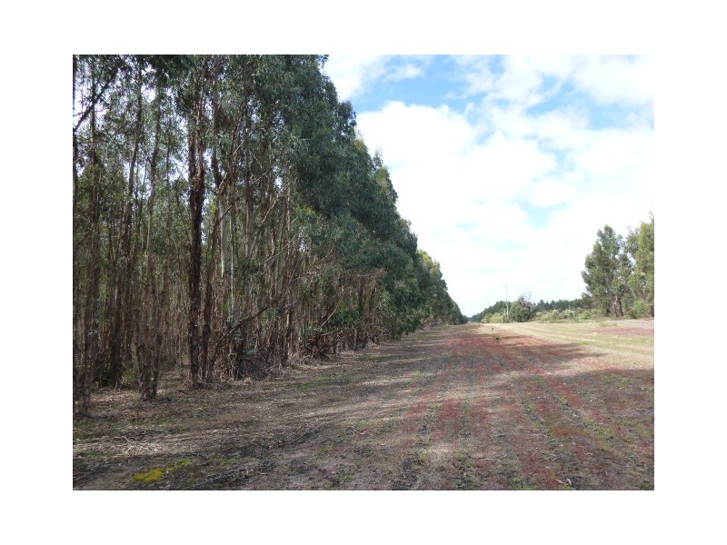L1849 Kwornicup Road, Mount Barker WA 6324