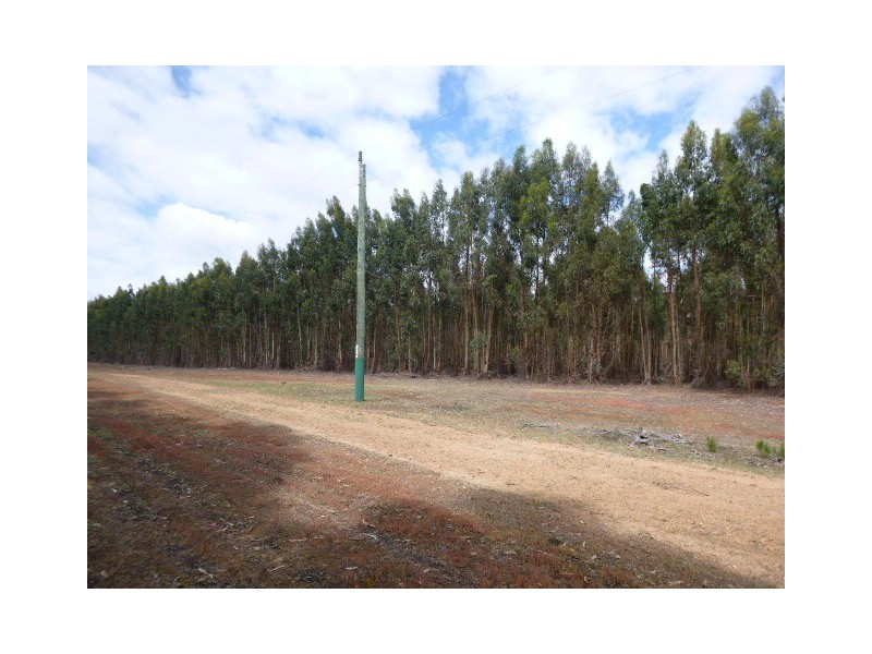 L1849 Kwornicup Road, Mount Barker WA 6324