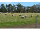 56 Jutland Road, Mount Barker WA 6324