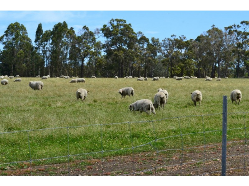 56 Jutland Road, Mount Barker WA 6324
