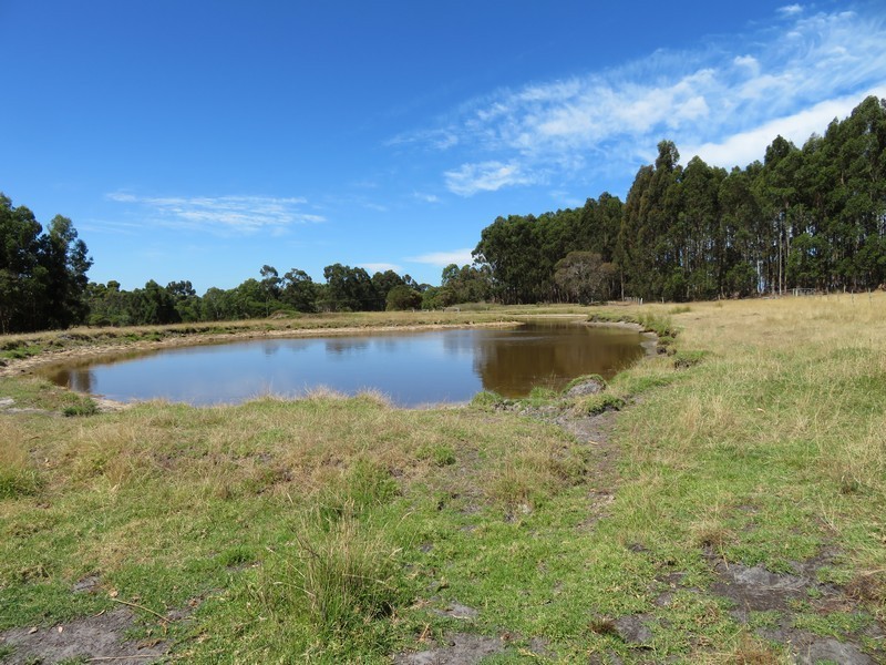 Lot 4 Mount Richard Road, Albany WA 6330