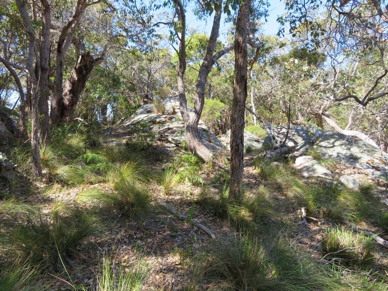 Lot 4 Mount Richard Road, Albany WA 6330