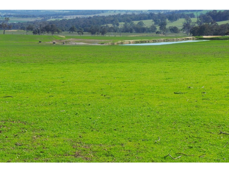 1600 Fisher Road, Kojonup WA 6395