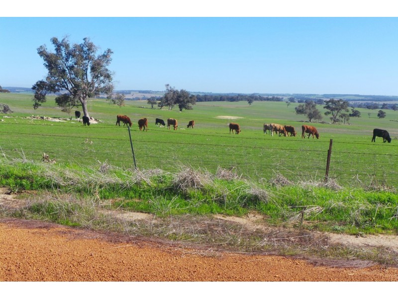 1600 Fisher Road, Kojonup WA 6395