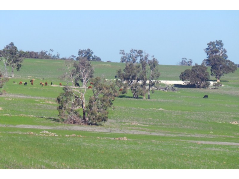 1600 Fisher Road, Kojonup WA 6395