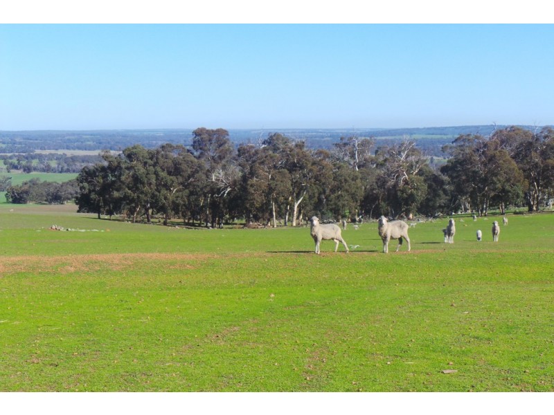 1600 Fisher Road, Kojonup WA 6395