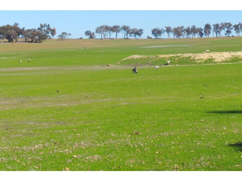 1600 Fisher Road, Kojonup WA 6395