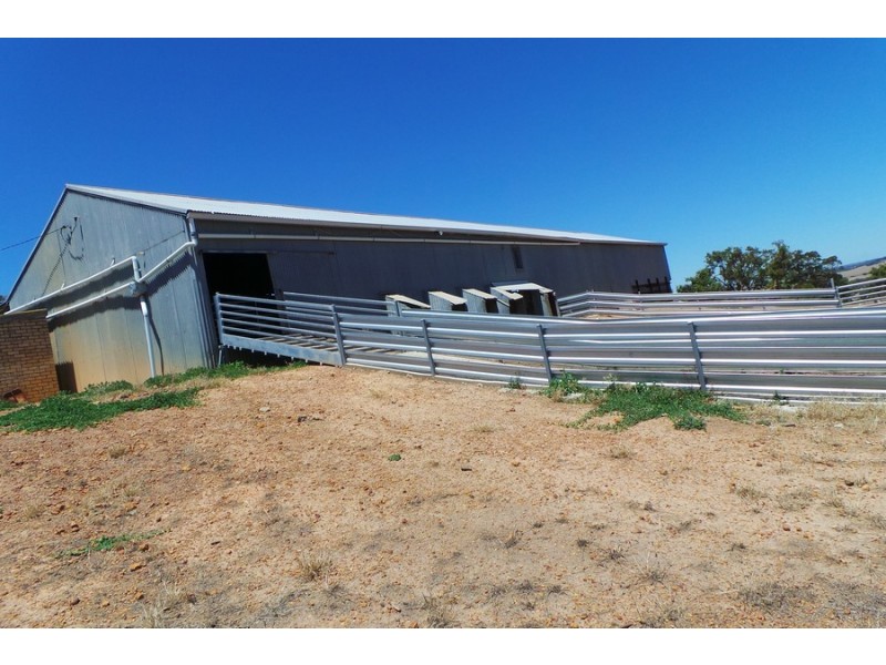 1600 Fisher Road, Kojonup WA 6395