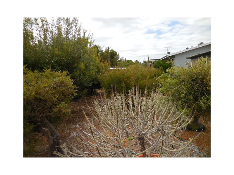 10 Grantham Street, Cranbrook WA 6321