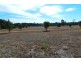Lot 46 Shepherd Road, Frankland WA 6396
