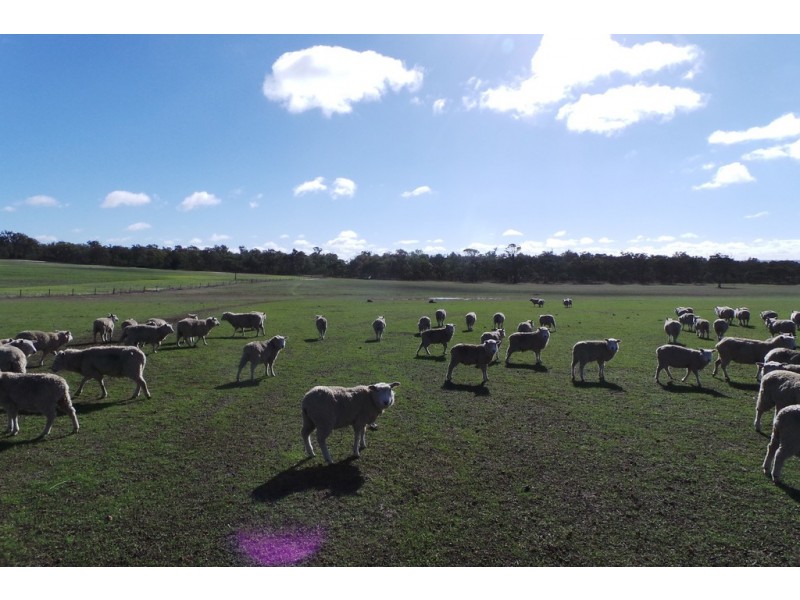 Lot 2 Boyacup Road, Cranbrook WA 6321