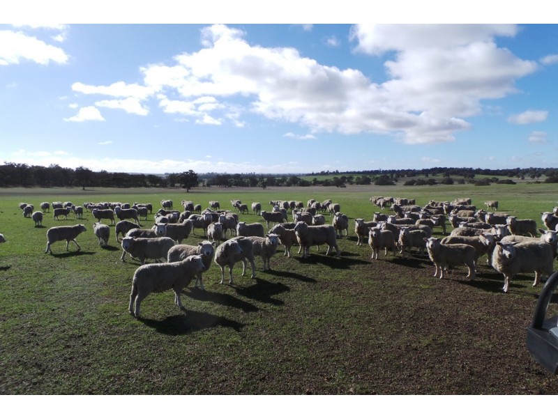 Lot 2 Boyacup Road, Cranbrook WA 6321