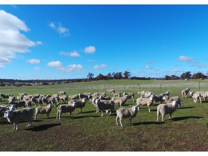 Lot 2 Boyacup Road, Cranbrook WA 6321