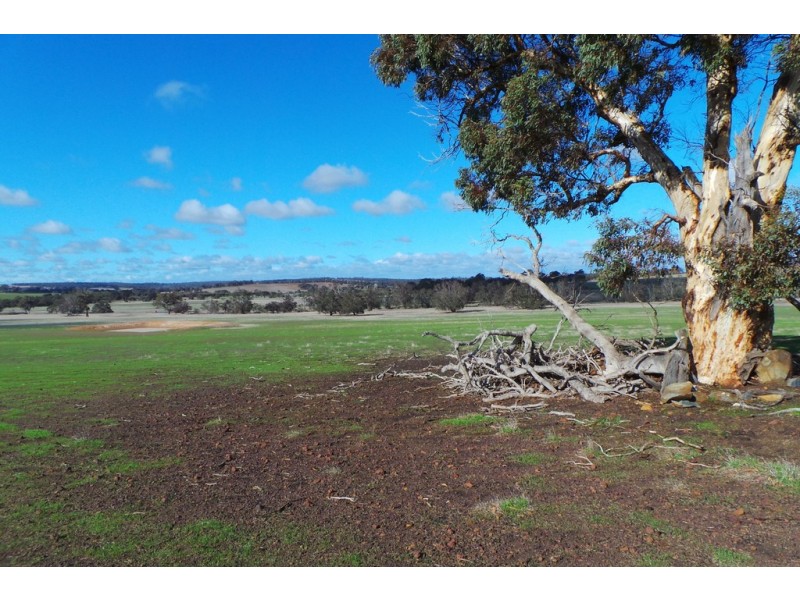 Lot 2 Boyacup Road, Cranbrook WA 6321