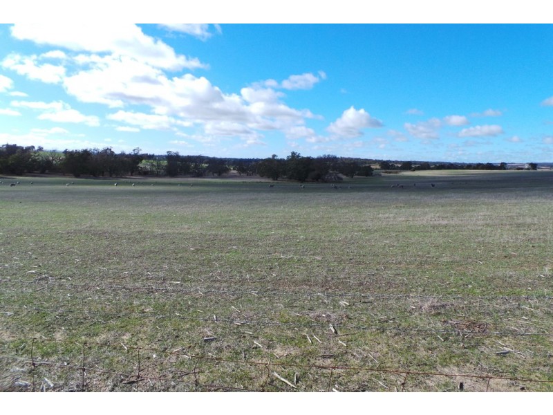 Lot 2 Boyacup Road, Cranbrook WA 6321