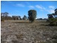 1x Lot Philips Cres and Johnson St, Cranbrook WA 6321