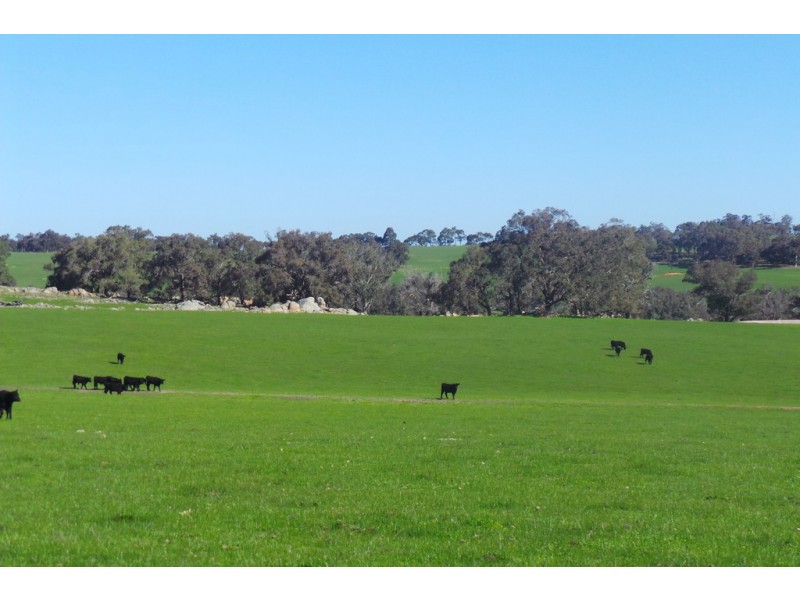 Glen Oaklands Kojonup-Frankland Road, Kojonup WA 6395