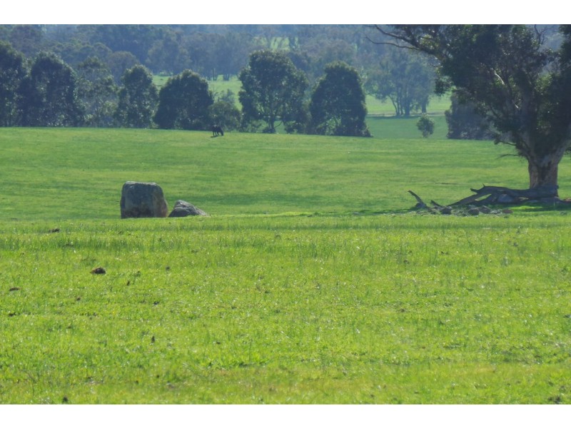 Glen Oaklands Kojonup-Frankland Road, Kojonup WA 6395