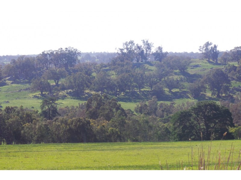 Glen Oaklands Kojonup-Frankland Road, Kojonup WA 6395
