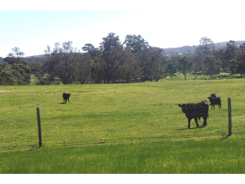 Glen Oaklands Kojonup-Frankland Road, Kojonup WA 6395