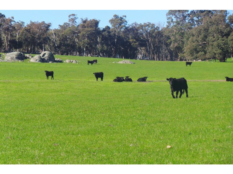 Glen Oaklands Kojonup-Frankland Road, Kojonup WA 6395