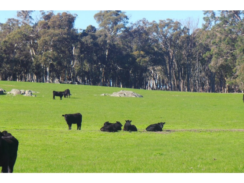 Glen Oaklands Kojonup-Frankland Road, Kojonup WA 6395