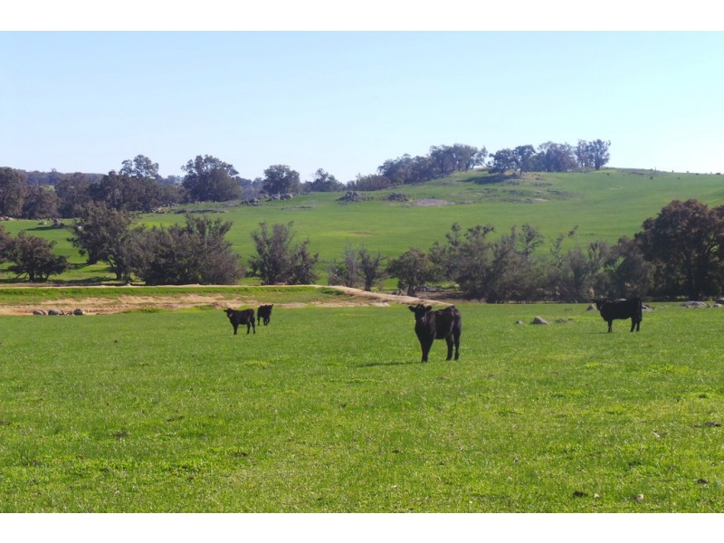 Glen Oaklands Kojonup-Frankland Road, Kojonup WA 6395