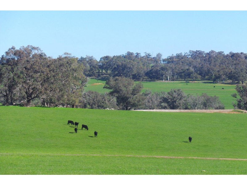 Glen Oaklands Kojonup-Frankland Road, Kojonup WA 6395