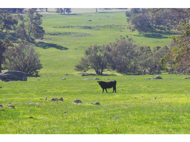 Glen Oaklands Kojonup-Frankland Road, Kojonup WA 6395