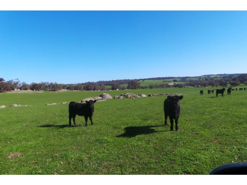 Glen Oaklands Kojonup-Frankland Road, Kojonup WA 6395