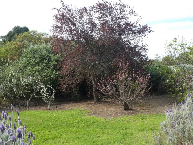 5 Ingoldby Street, Mount Barker WA 6324