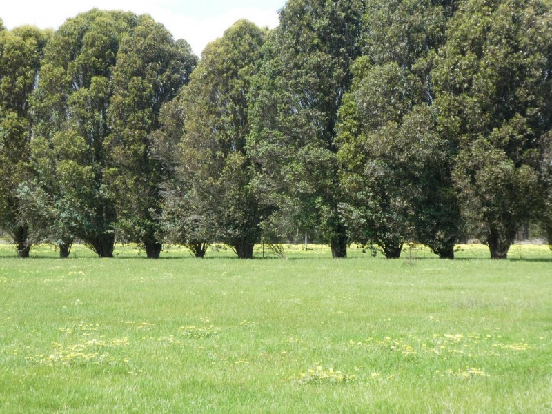 Lot 103 Ingoldby Street, Mount Barker WA 6324