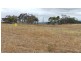 80 Tower Road, Mount Barker WA 6324
