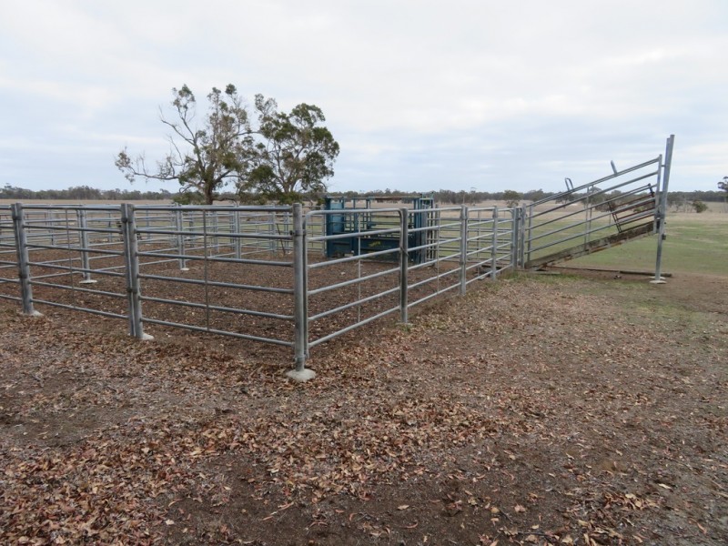 Lot 238 and 239 West Beattie Road, Kendenup WA 6323