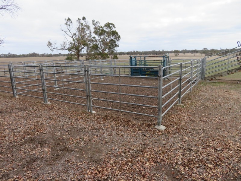 Lot 238 and 239 West Beattie Road, Kendenup WA 6323
