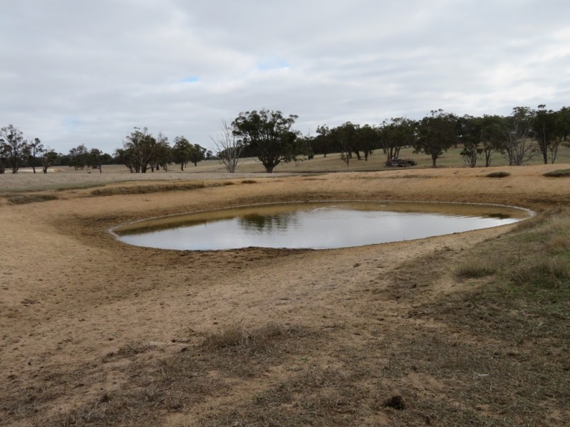 Lot 238 and 239 West Beattie Road, Kendenup WA 6323