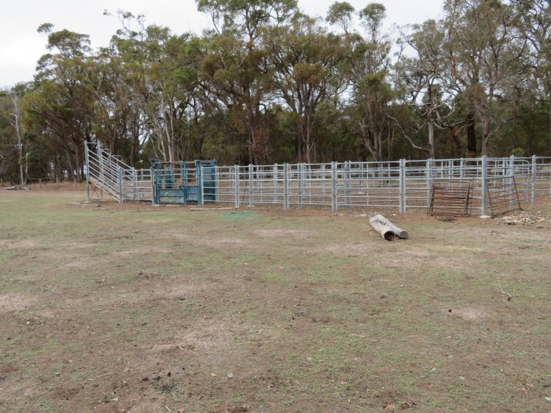 Lot 238 and 239 West Beattie Road, Kendenup WA 6323