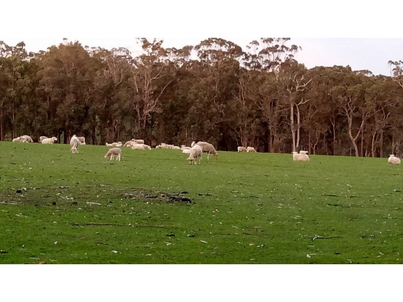 245 Whitworth Road, Mount Barker WA 6324