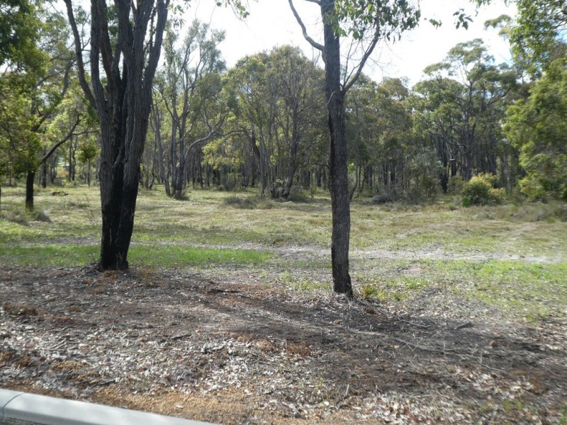 43 Mondurup Street, Mount Barker WA 6324