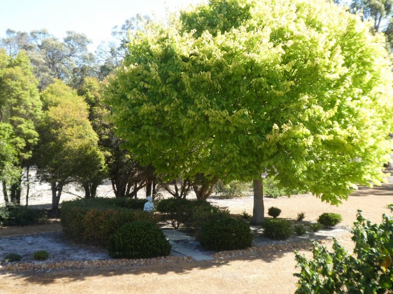 66 Martin Street, Mount Barker WA 6324