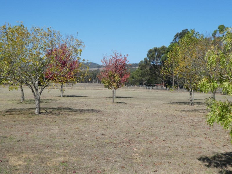 66 Martin Street, Mount Barker WA 6324