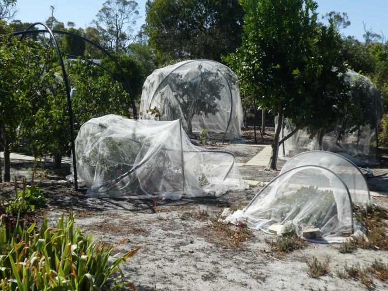 66 Martin Street, Mount Barker WA 6324