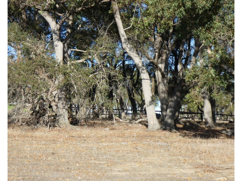 8/215 Porongurup Road, Mount Barker WA 6324