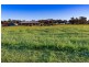 61 Harding Road, Kendenup WA 6323