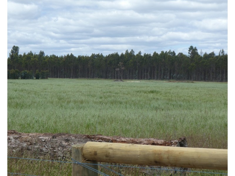 976 Boyup Road, Mount Barker WA 6324